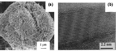 SEM image of nanofibrous MnO2 showing a bird's nest superstructure