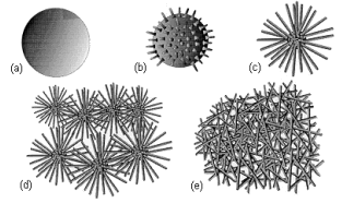 Transformation from nanoparticle agglomerates to fully developed bird's nest