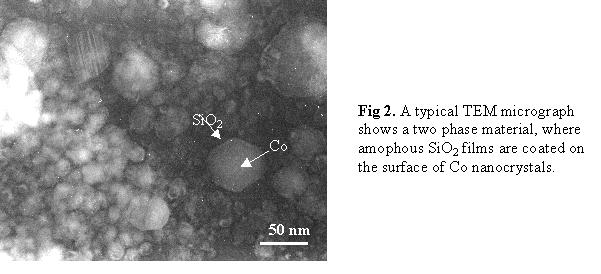 TEM micrograph of SiO2 film coating the surface of Co nanocrystals